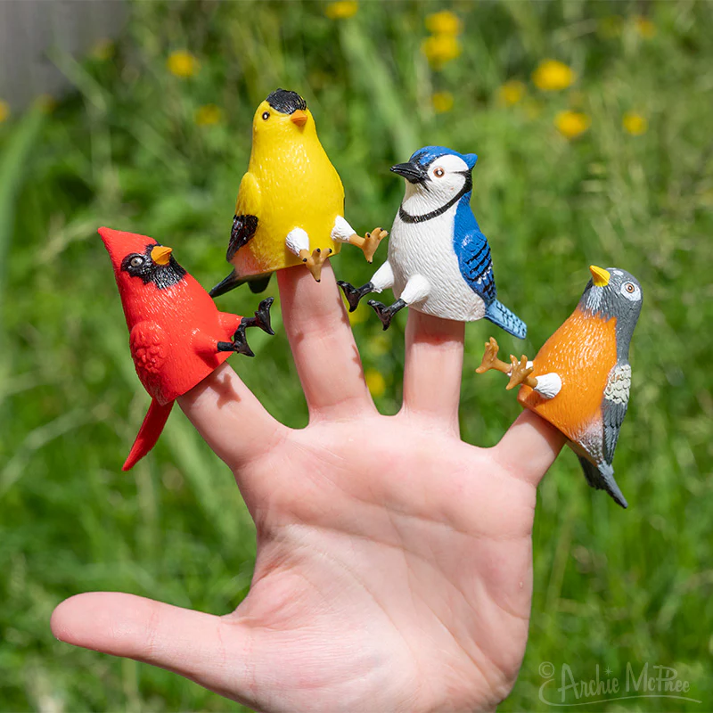 Finger Bird Feeder Birds Bulk Box - Image 3