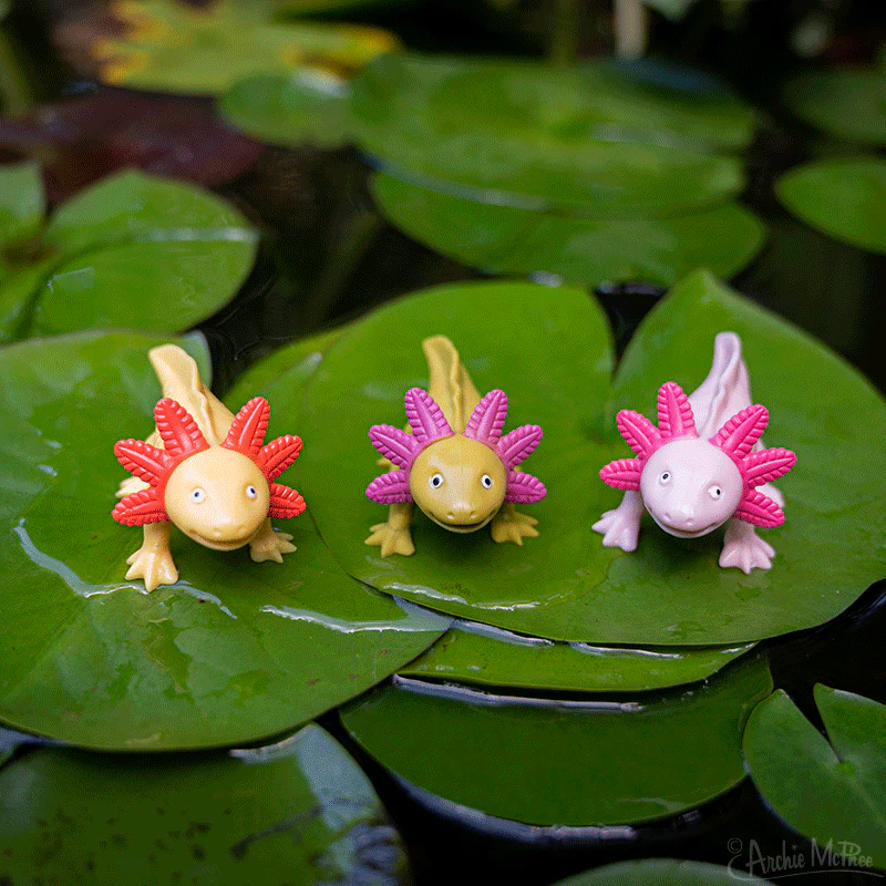 Happy Axolotls - Set of 4 - Image 3