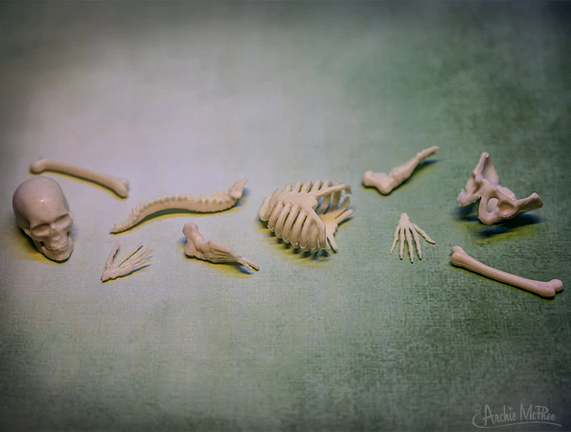 Itty Bitty Bones - Bag of 10 - Image 2