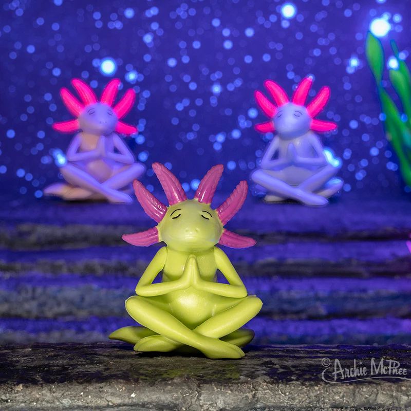 Meditating Axolotls - Image 5