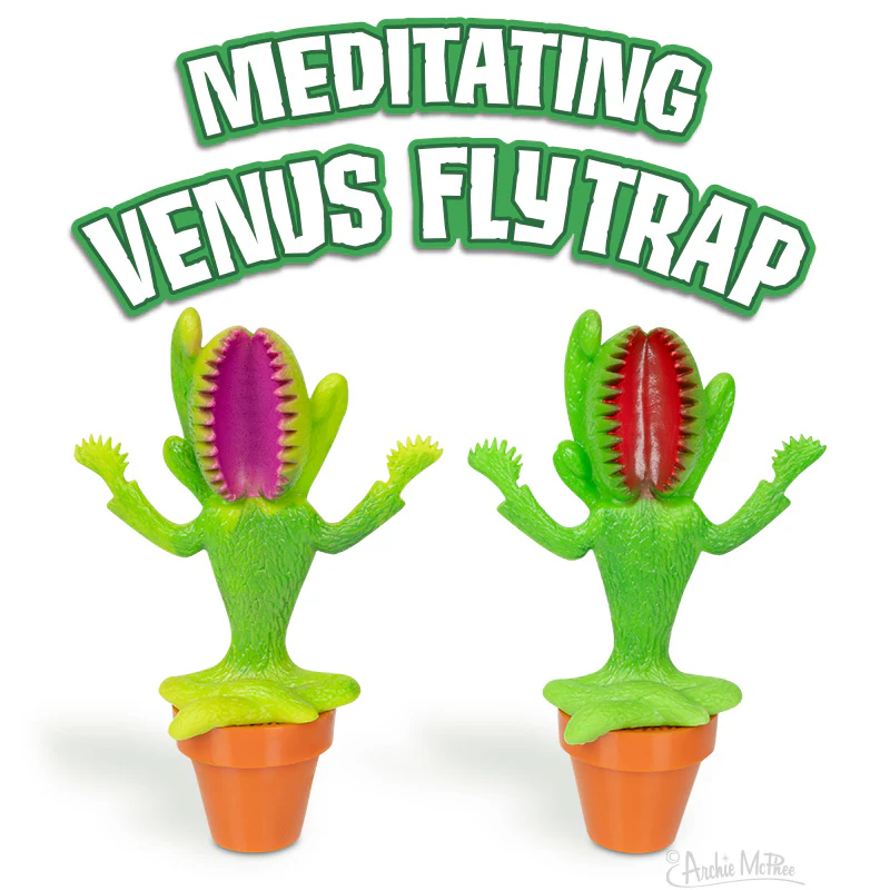 Meditating Venus Flytrap Bulk Box - Image 2