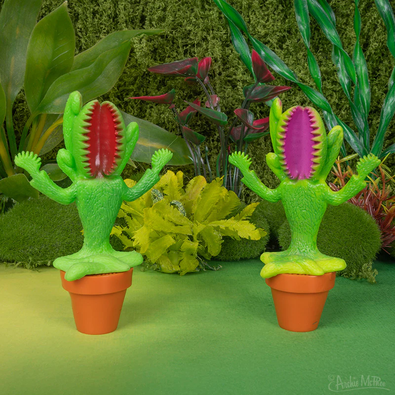 Meditating Venus Flytrap Bulk Box - Image 3