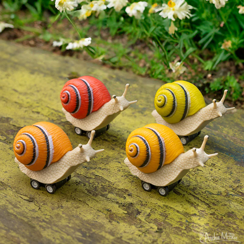 Racing Snails Bulk Box - Image 4