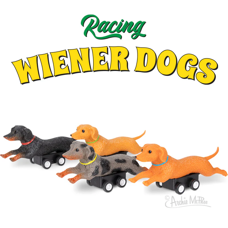 Racing Wiener Dogs Bulk Box - Image 2