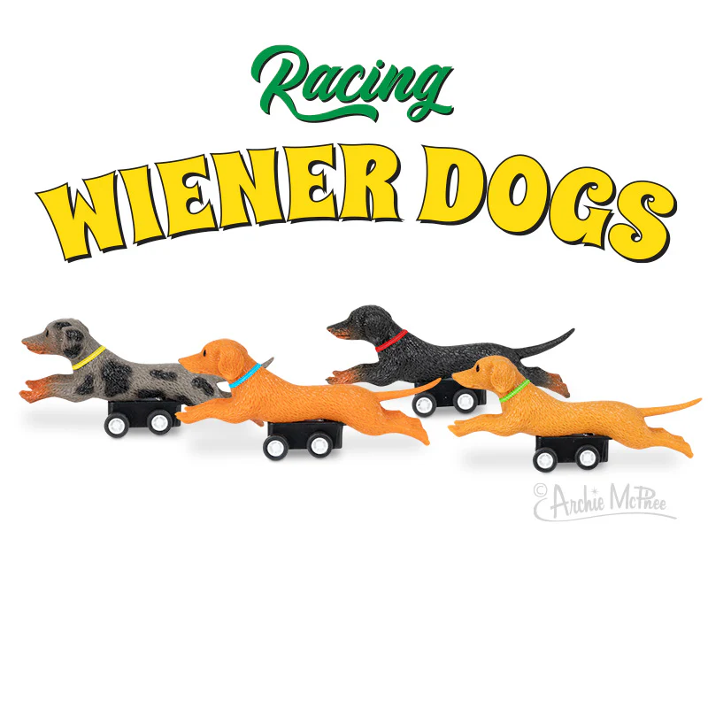 Racing Wiener Dogs Bulk Box - Image 3